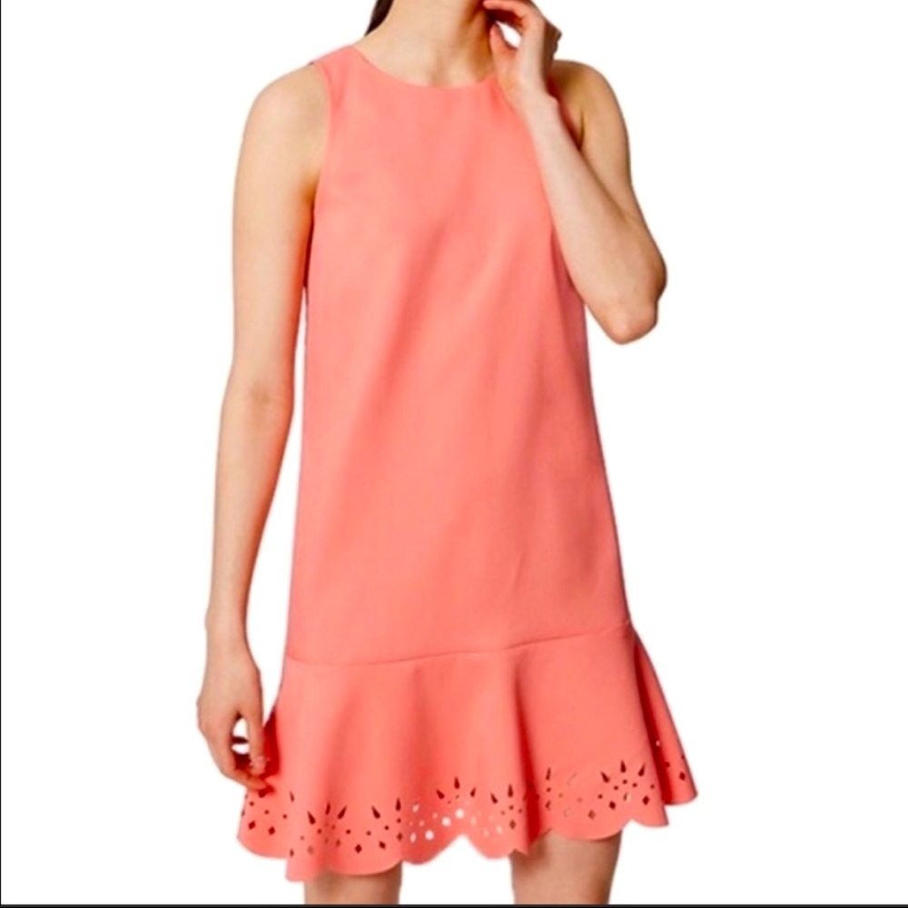 Ann Taylor Loft Scallop Hem Dress Size 2P